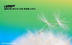 雨林木风win10最新32位精简纪念版v2022.06