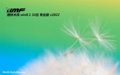 雨林木风win8.1免激活32位精致精简版v2022.06